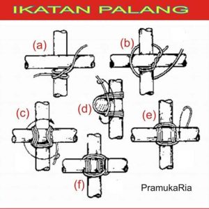 Apa Itu Ikatan Pelajar Muhammadiyah dan Peran Pentingnya dalam Pendidikan Islam